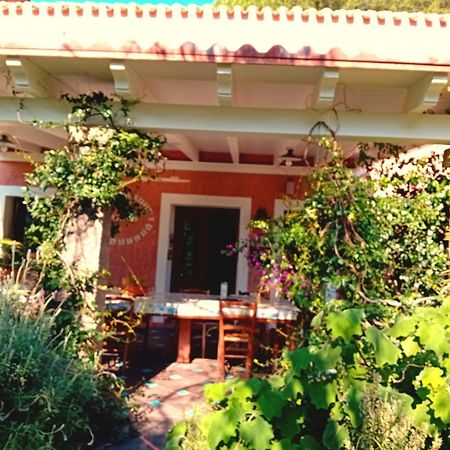 Vila La Fattoria Delle Tartarughe San Gregorio  Exteriér fotografie