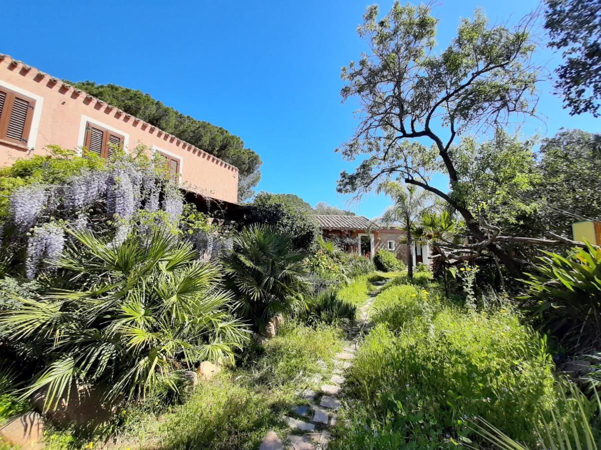 Vila La Fattoria Delle Tartarughe San Gregorio  Exteriér fotografie