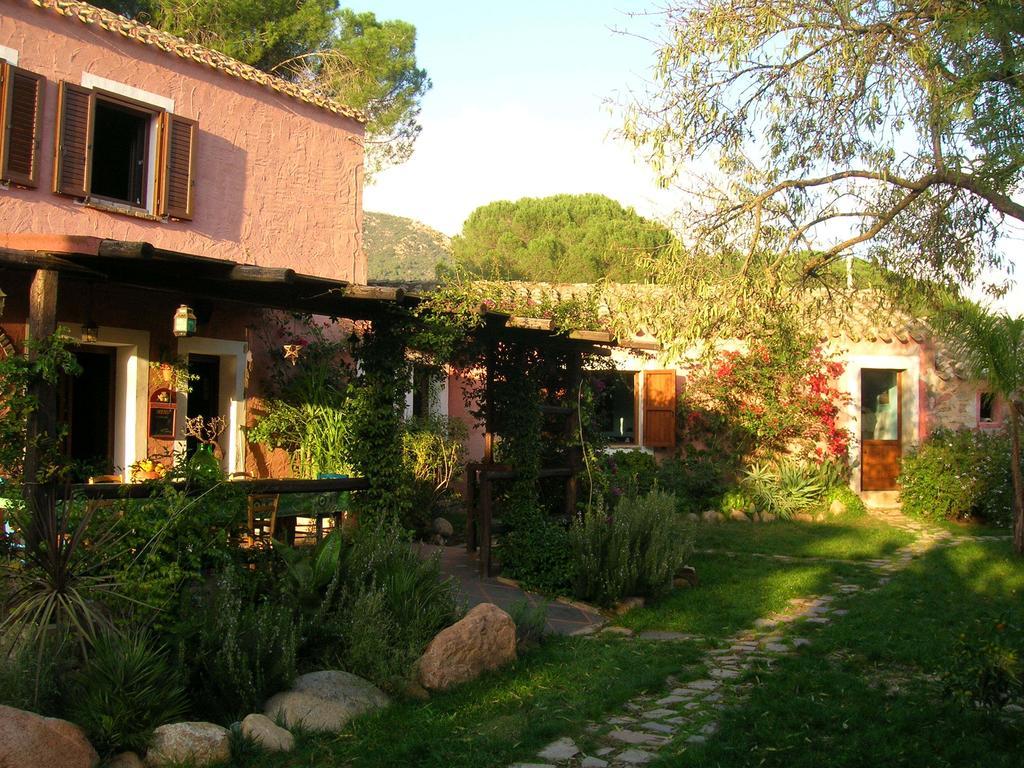 Vila La Fattoria Delle Tartarughe San Gregorio  Exteriér fotografie