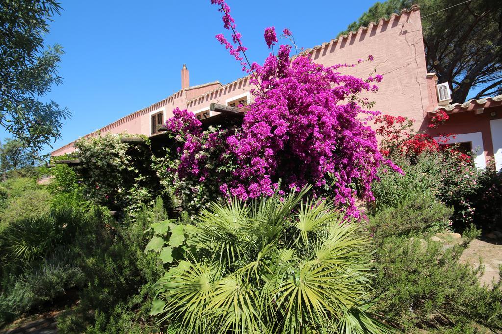 Vila La Fattoria Delle Tartarughe San Gregorio  Exteriér fotografie