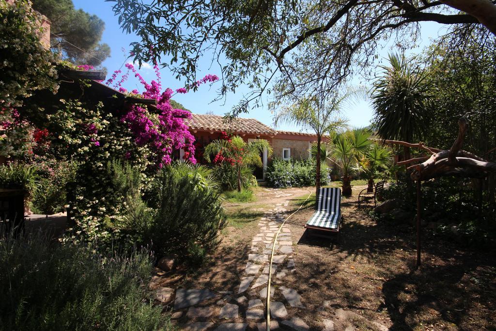 Vila La Fattoria Delle Tartarughe San Gregorio  Exteriér fotografie