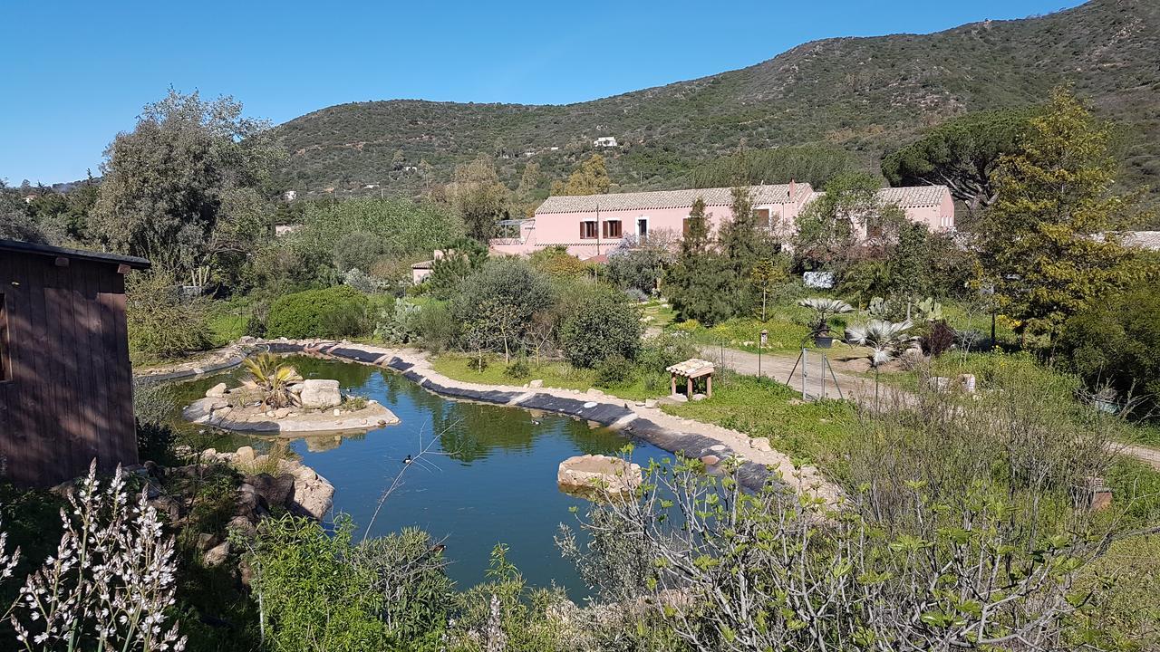 Vila La Fattoria Delle Tartarughe San Gregorio  Exteriér fotografie